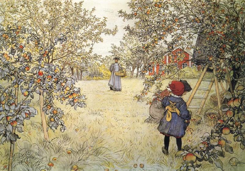 Carl Larsson Apple Harvest France oil painting art